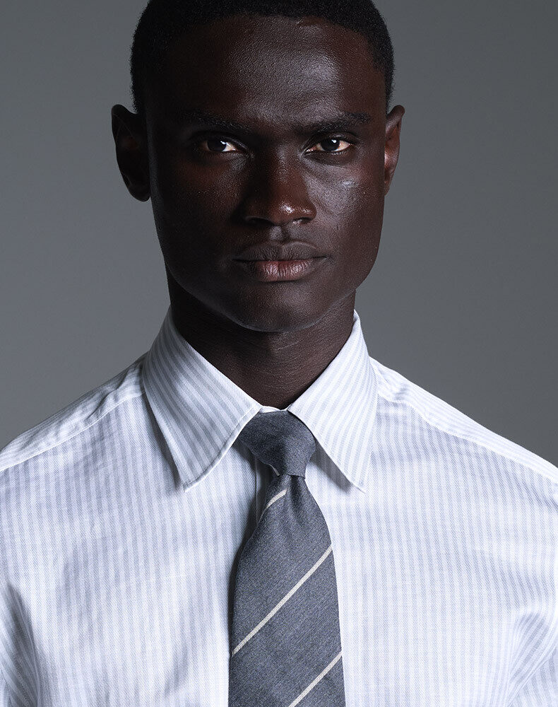 Cotton Chambray Long Sleeve Point Collar Shirt, view 4